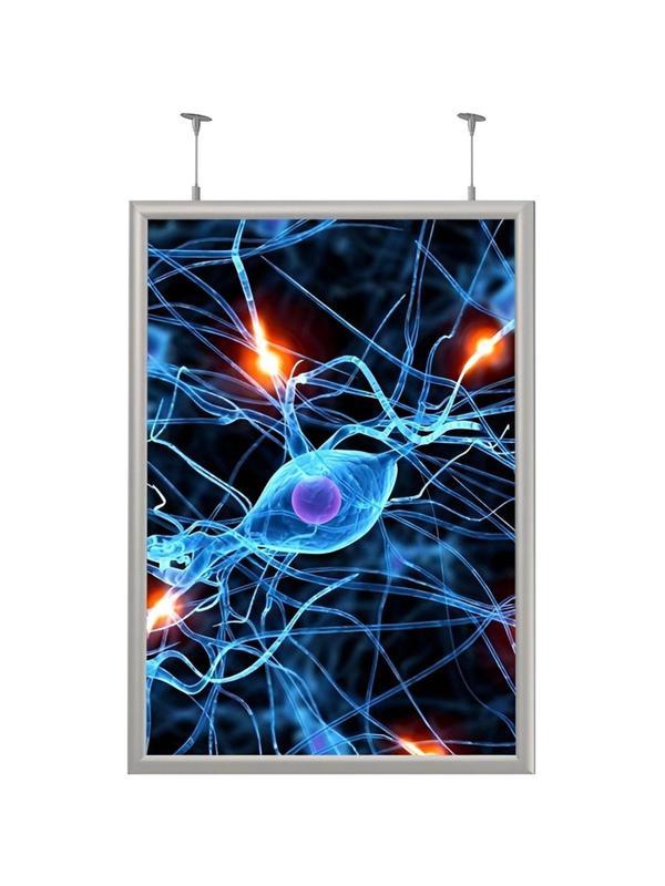 Панель световая  Frame LED 1стор тросы А3+(327х450)раз.пл.297х420 дерев.к