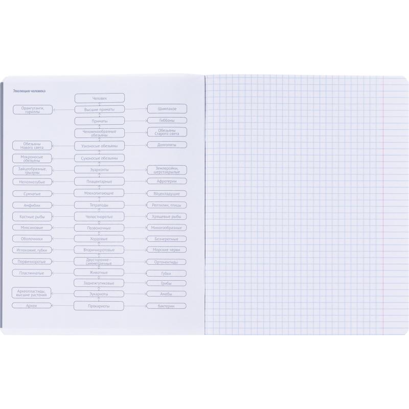 Тетрадь предметная BS, А5, 48л., клетка, скрепка. Oblivion, биология N4522
