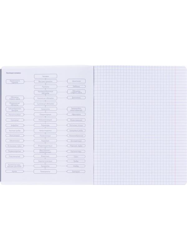 Тетрадь предметная BS, А5, 48л., клетка, скрепка. Oblivion, биология N4522