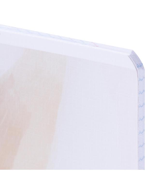 Тетрадь предметная BS, А5, 48л., клетка, скрепка. Oblivion, обществ. N4524