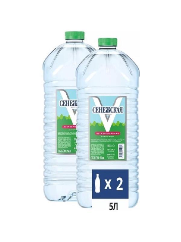 Вода минеральная Сенежская негазированная пэт, 5л