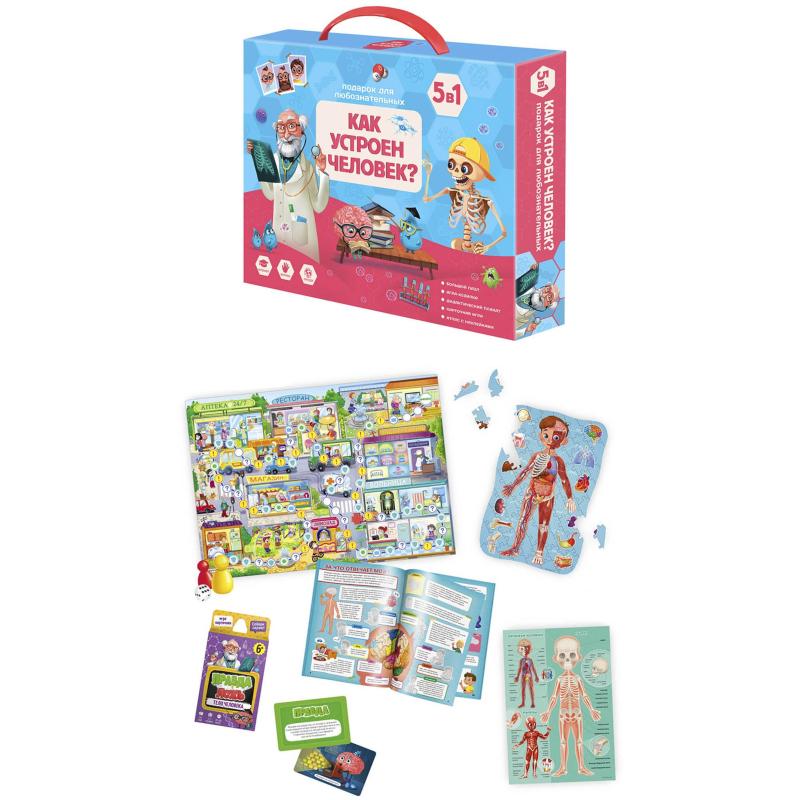 Игра Как устроен человек? 5 в 1, подарок