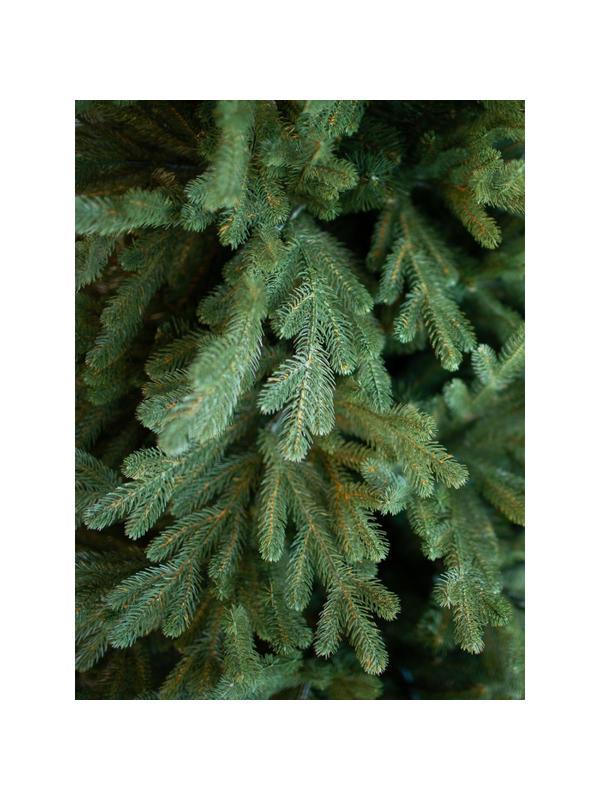 Елка искусственная комнатная Кредо Премиум 210 см, цвет зеленый 641-131