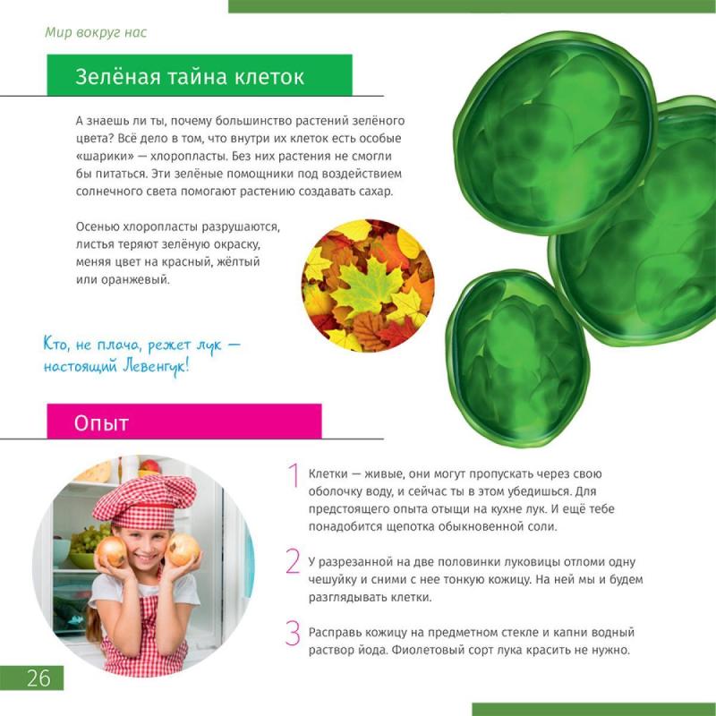 Микроскоп Discovery Centi 02 набор с книгой, 78241