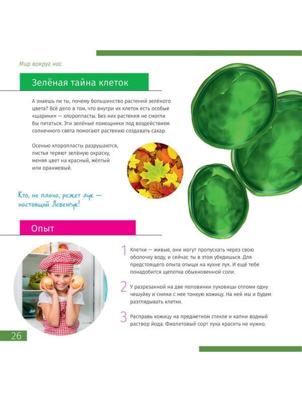 Микроскоп Discovery Pico Gravity набор с книгой, 77971