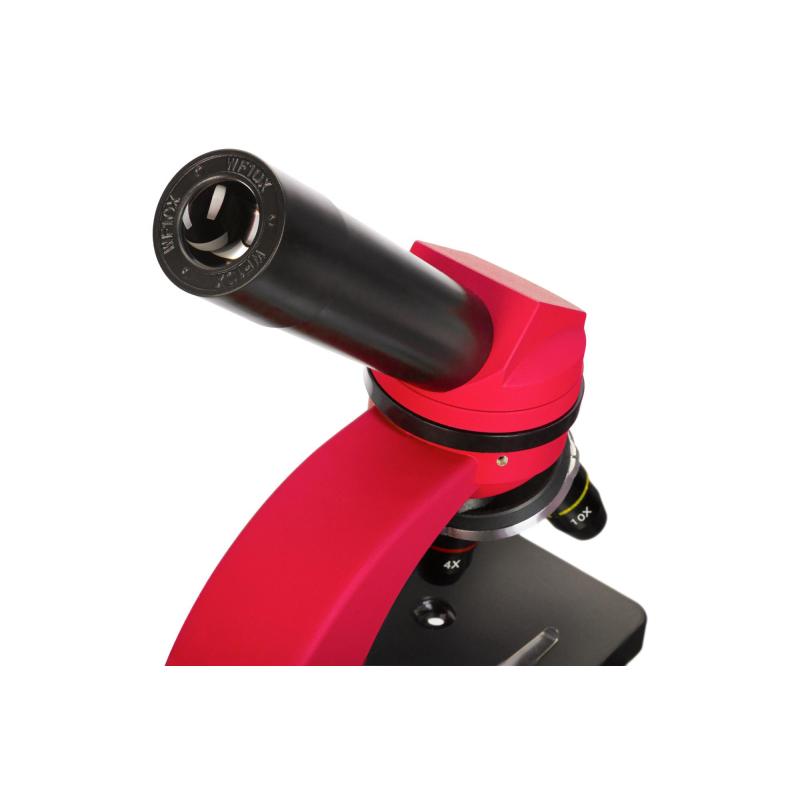 Микроскоп Discovery Nano Terra набор с книгой, 77962