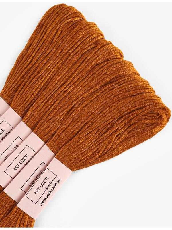 Набор ниток мулине №909, 8±1 м, 6 шт., коричневый