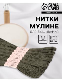 Набор ниток мулине №645, 8±1 м, 6 шт., зелёно-серый