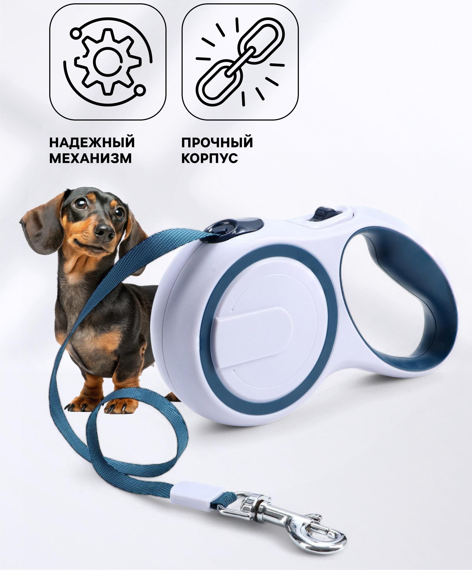 Рулетка с системой эффективного скручивания поводка, 5 м, до 20 кг, серо-синяя