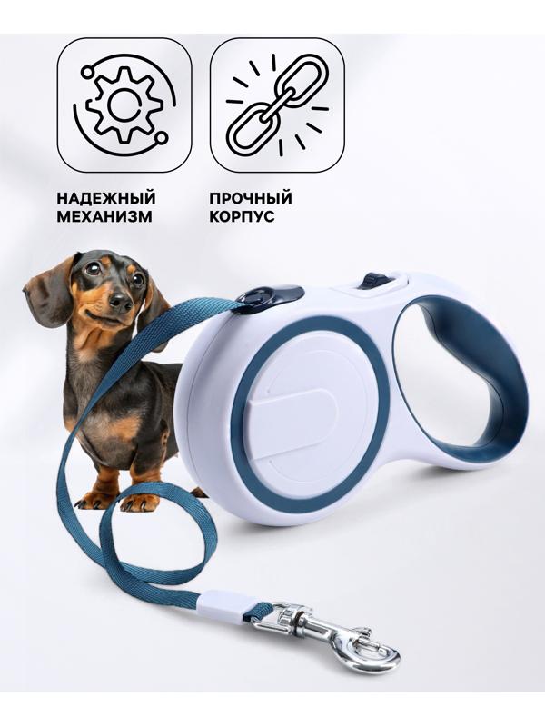 Рулетка с системой эффективного скручивания поводка, 5 м, до 20 кг, серо-синяя