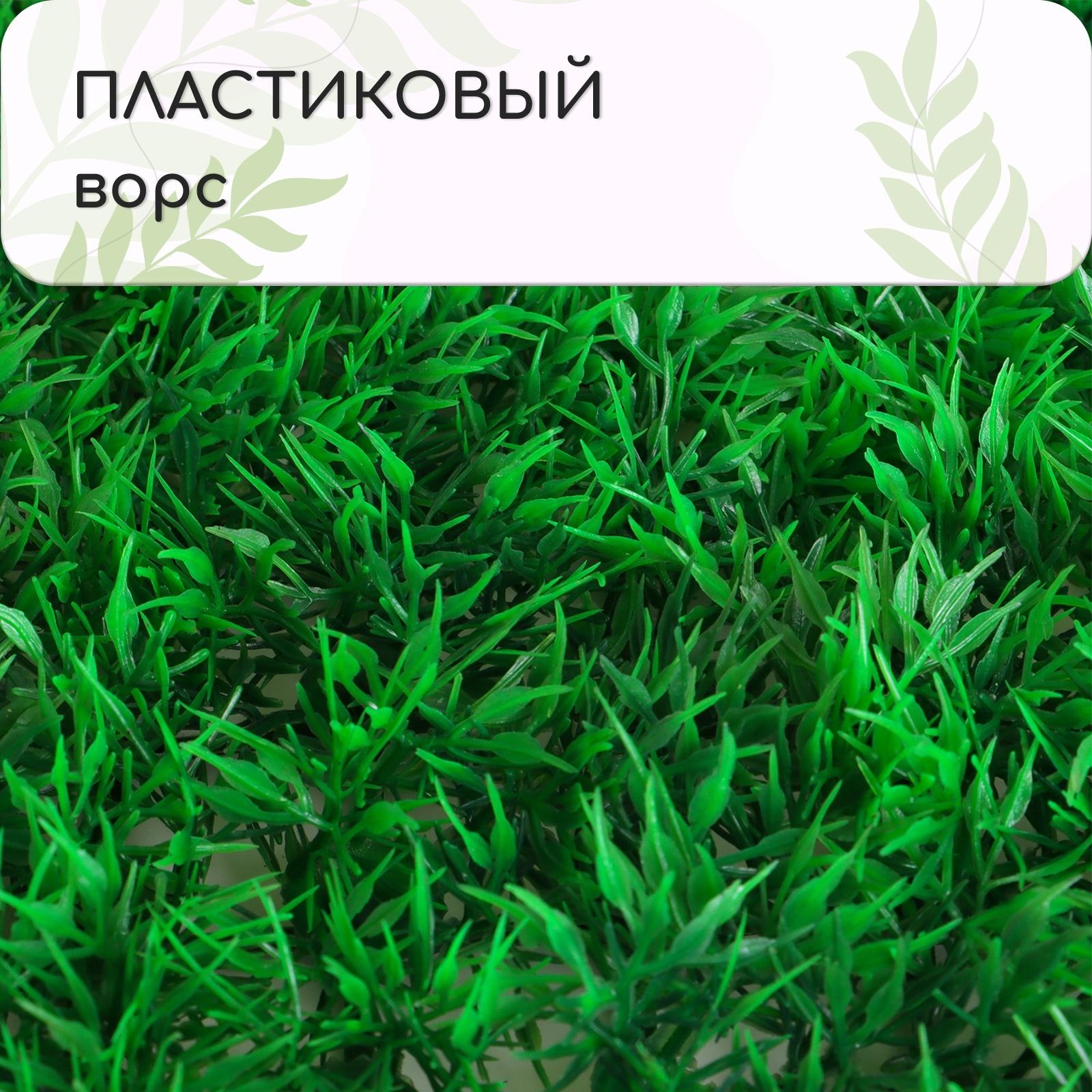 Декоративная панель, 60 × 40 см, «Аспарагус», Greengo