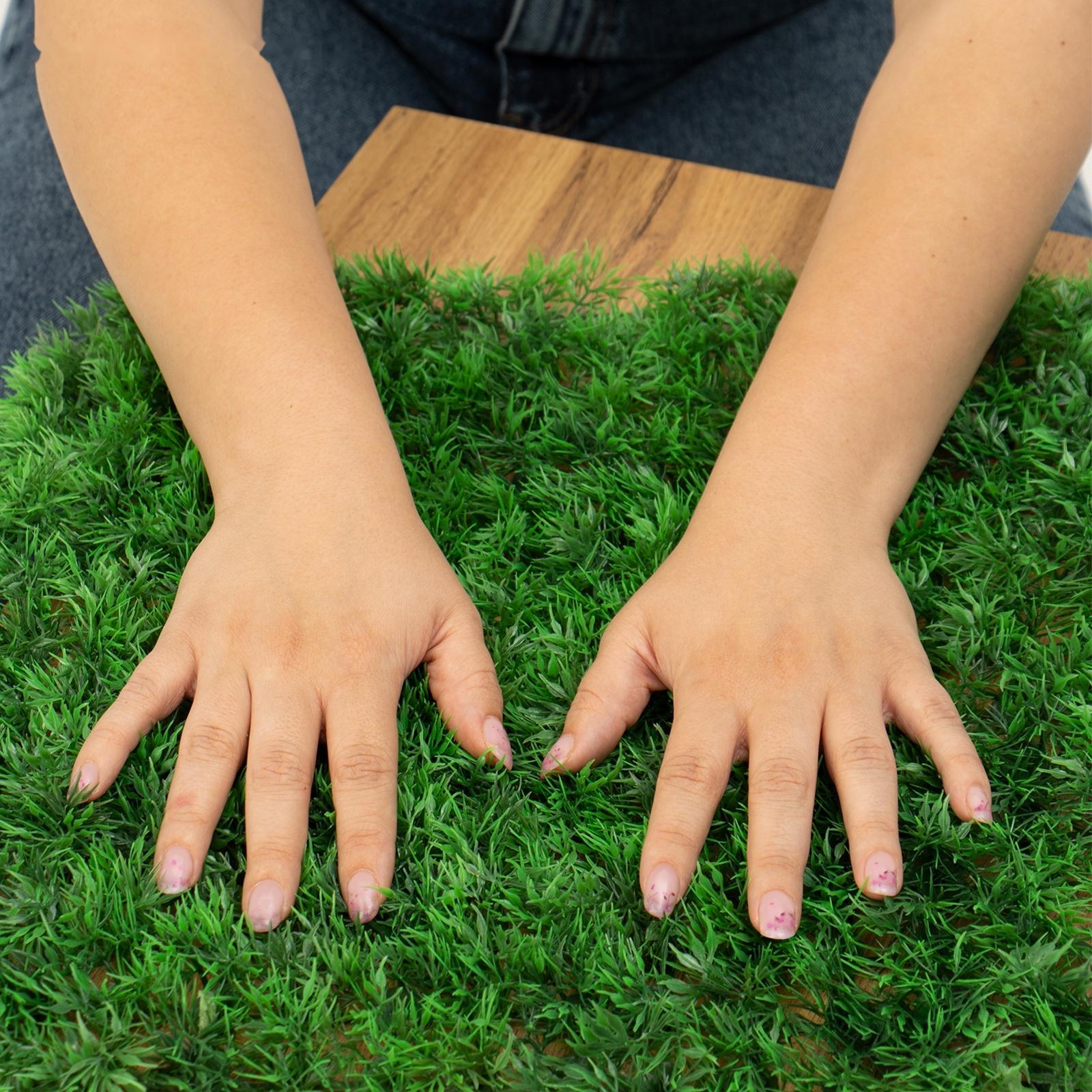 Декоративная панель, 60 × 40 см, «Аспарагус», Greengo