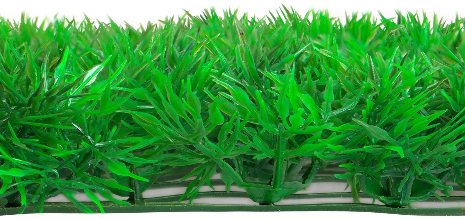 Декоративная панель, 60 × 40 см, «Аспарагус», Greengo