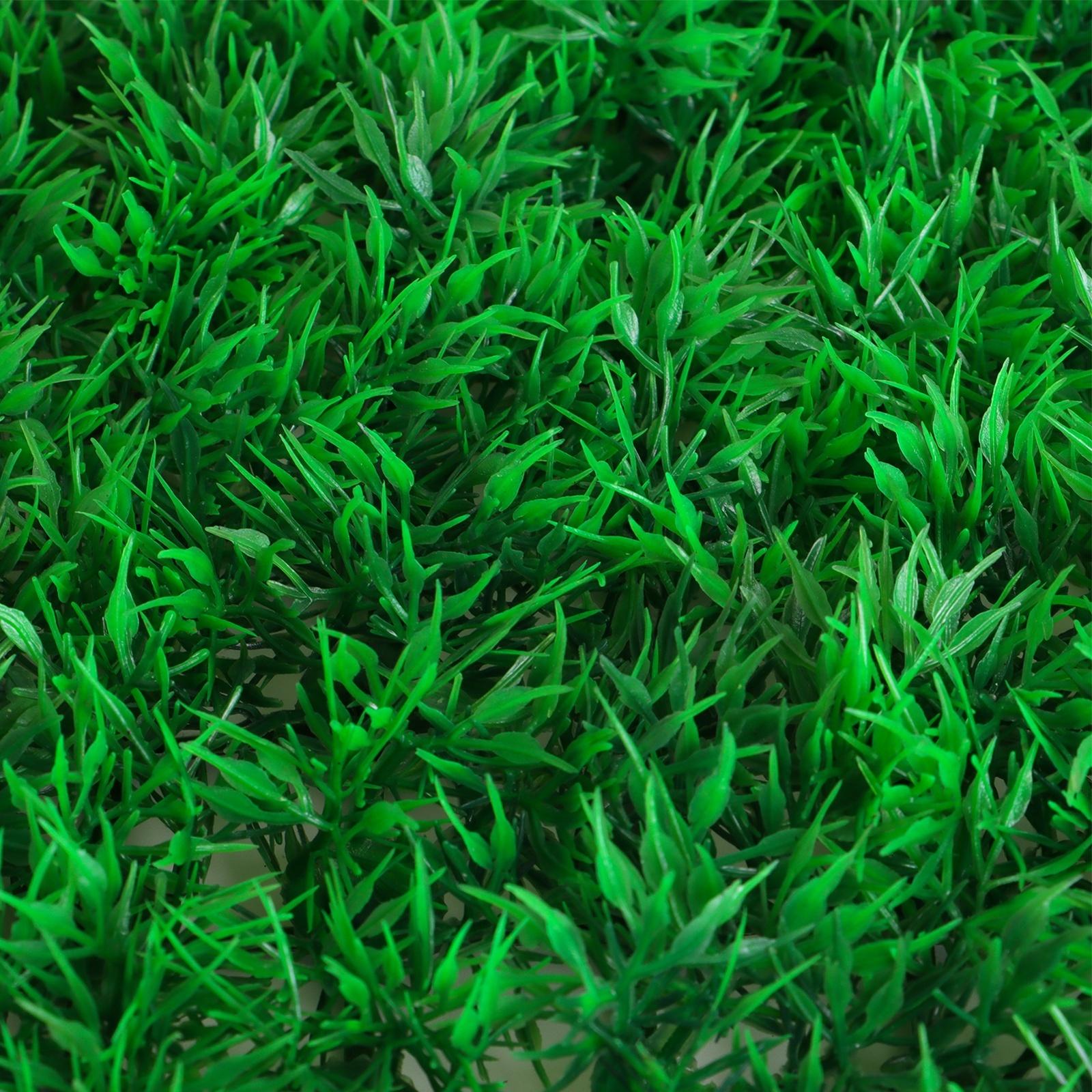 Декоративная панель, 60 × 40 см, «Аспарагус», Greengo