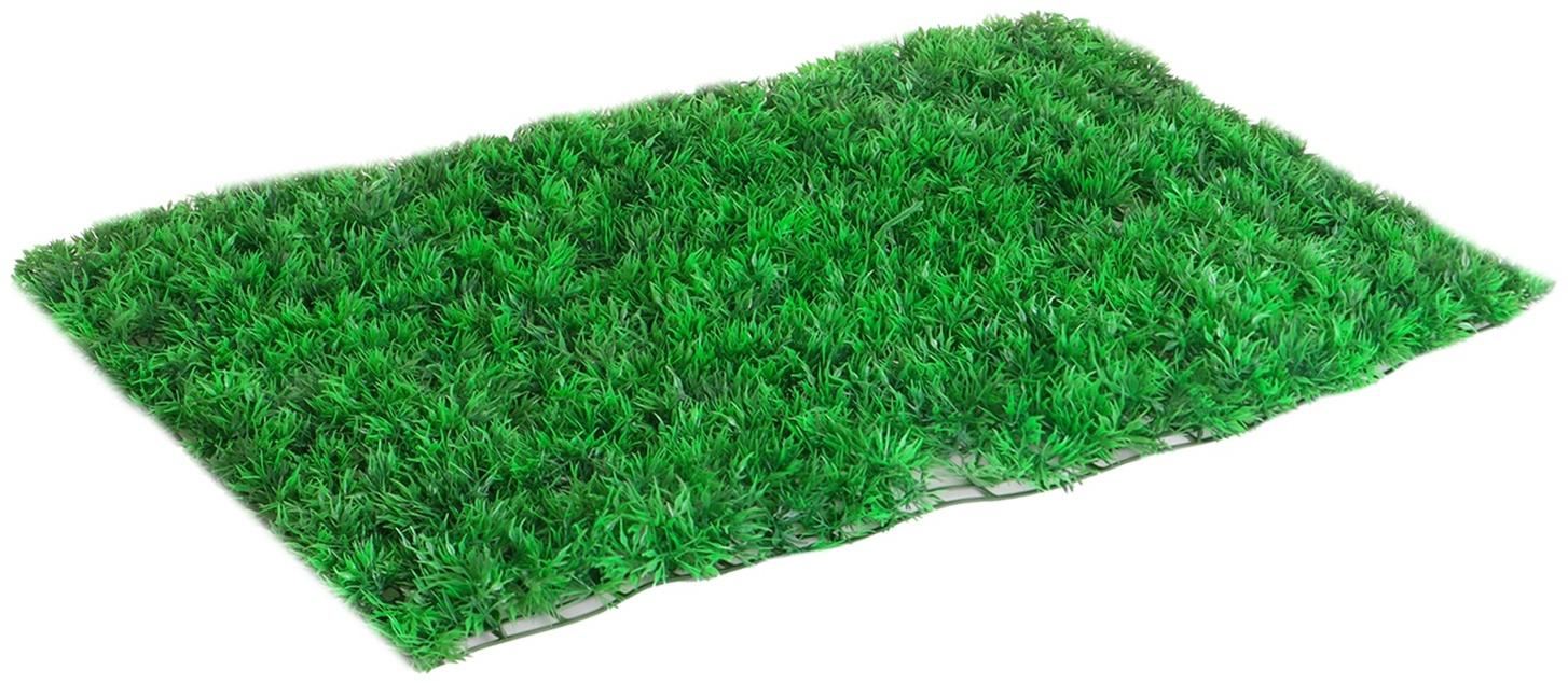 Декоративная панель, 60 × 40 см, «Аспарагус», Greengo