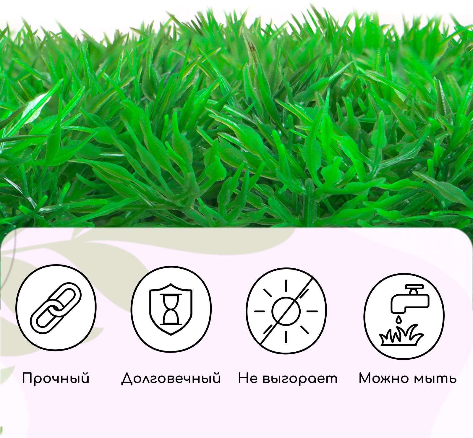 Декоративная панель, 60 × 40 см, «Аспарагус», Greengo