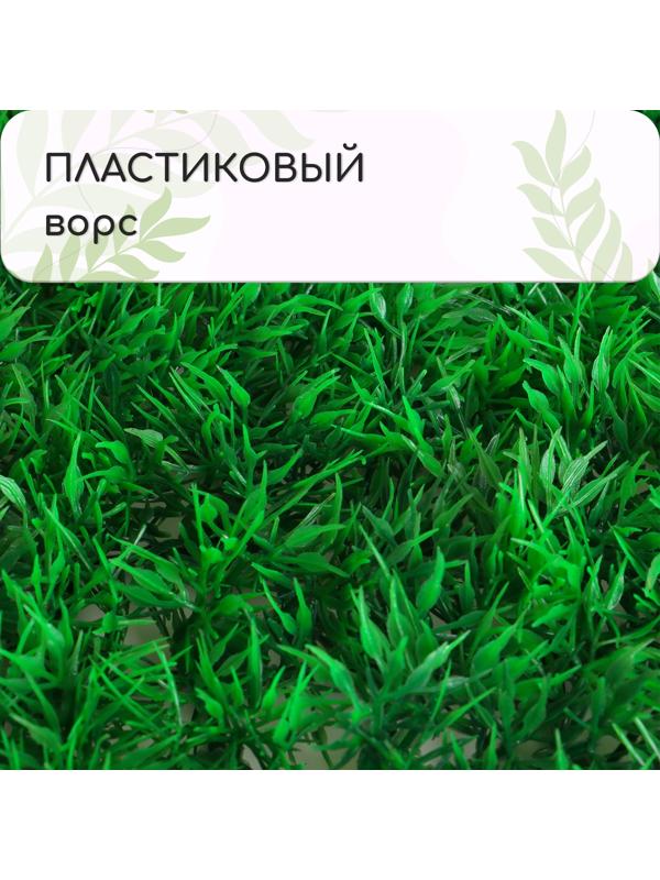 Декоративная панель, 60 × 40 см, «Аспарагус», Greengo