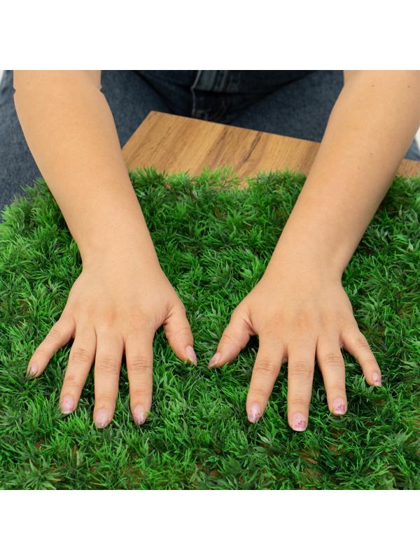 Декоративная панель, 60 × 40 см, «Аспарагус», Greengo