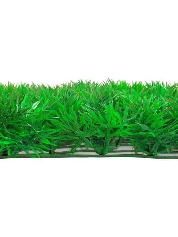 Декоративная панель, 60 × 40 см, «Аспарагус», Greengo