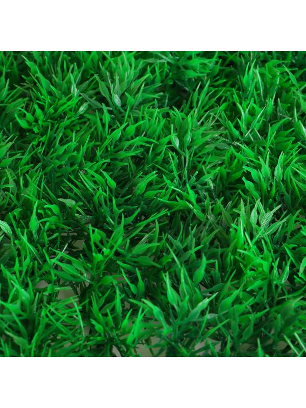 Декоративная панель, 60 × 40 см, «Аспарагус», Greengo