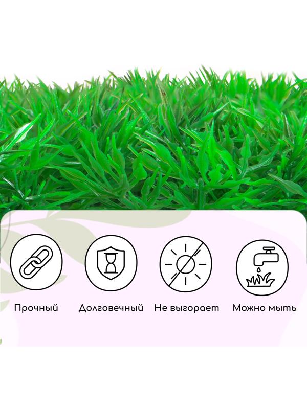 Декоративная панель, 60 × 40 см, «Аспарагус», Greengo