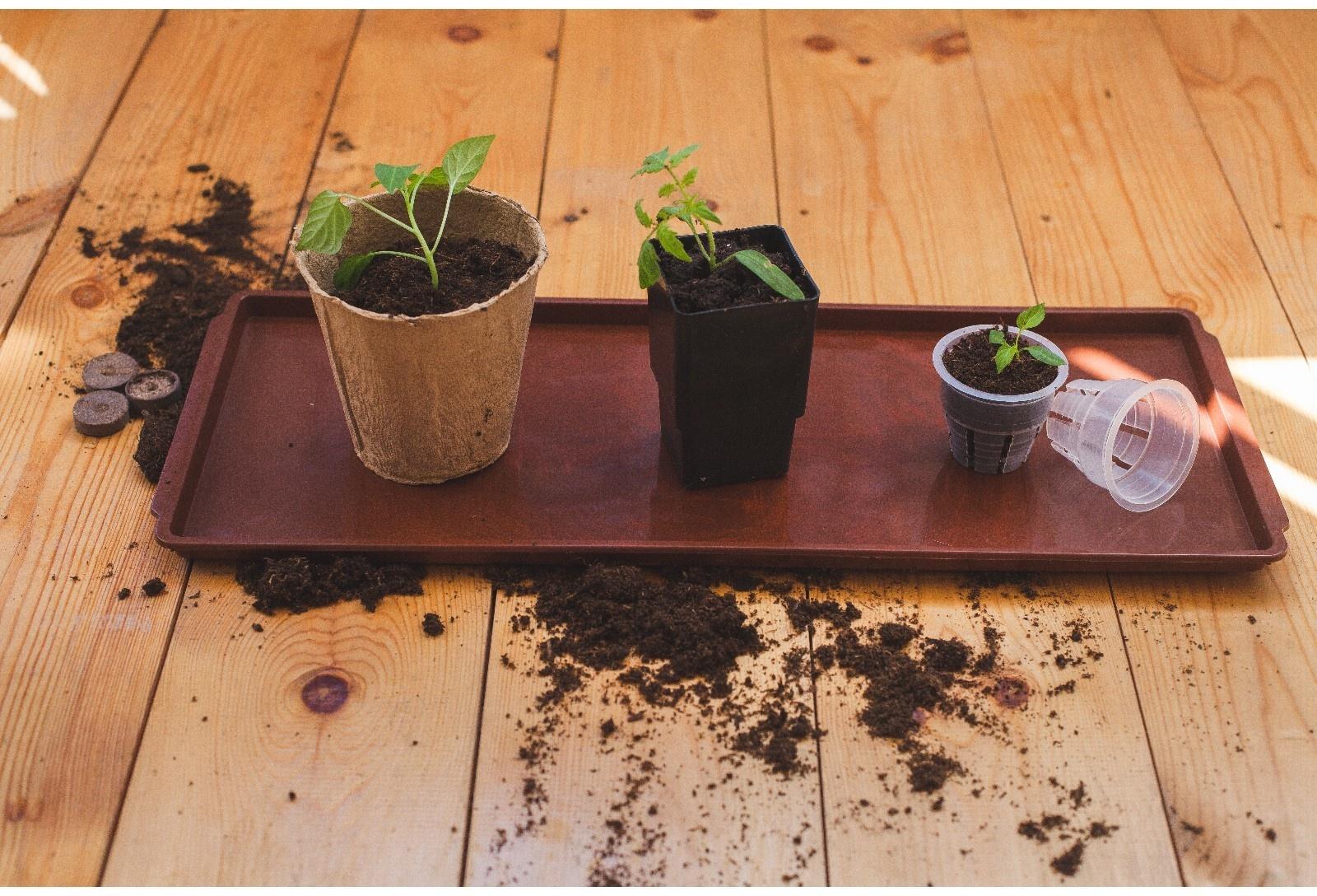 Поддон для рассады, 48 × 14 × 2 см, пластик, цвет МИКС