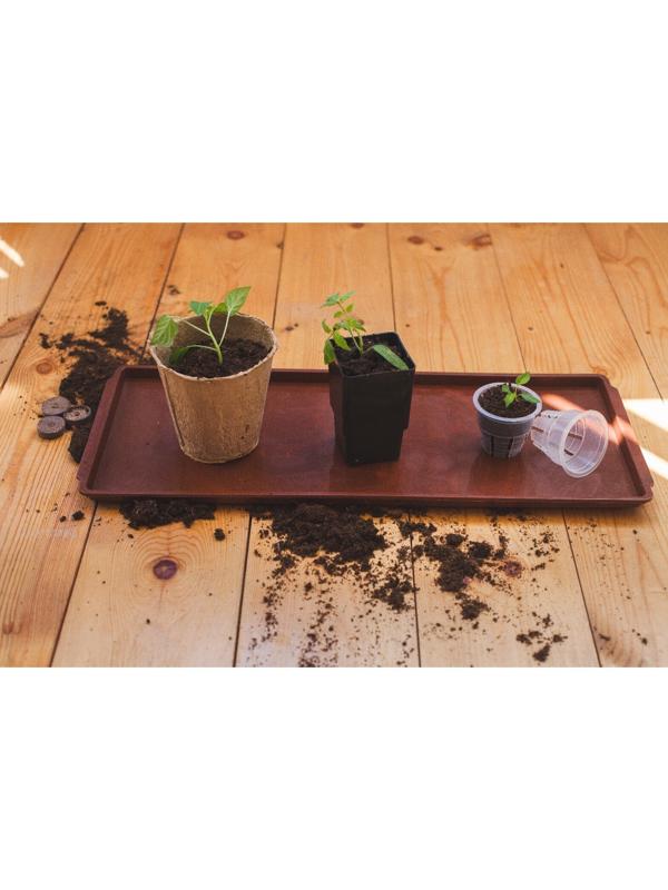 Поддон для рассады, 48 × 14 × 2 см, пластик, цвет МИКС