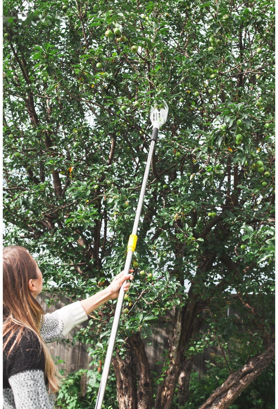 Плодосъёмник, с телескопическим черенком, 158 - 250 см, Greengo