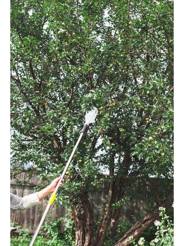 Плодосъёмник, с телескопическим черенком, 158 - 250 см, Greengo