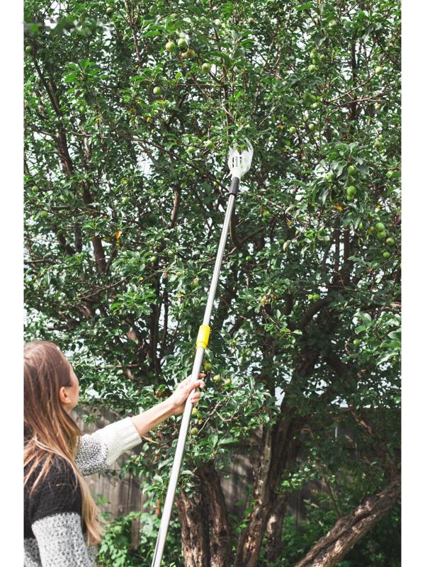 Плодосъёмник, с телескопическим черенком, 158 - 250 см, Greengo