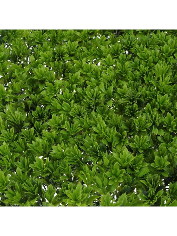 Декоративная панель, 60 × 40 см, «Высокий мох», Greengo