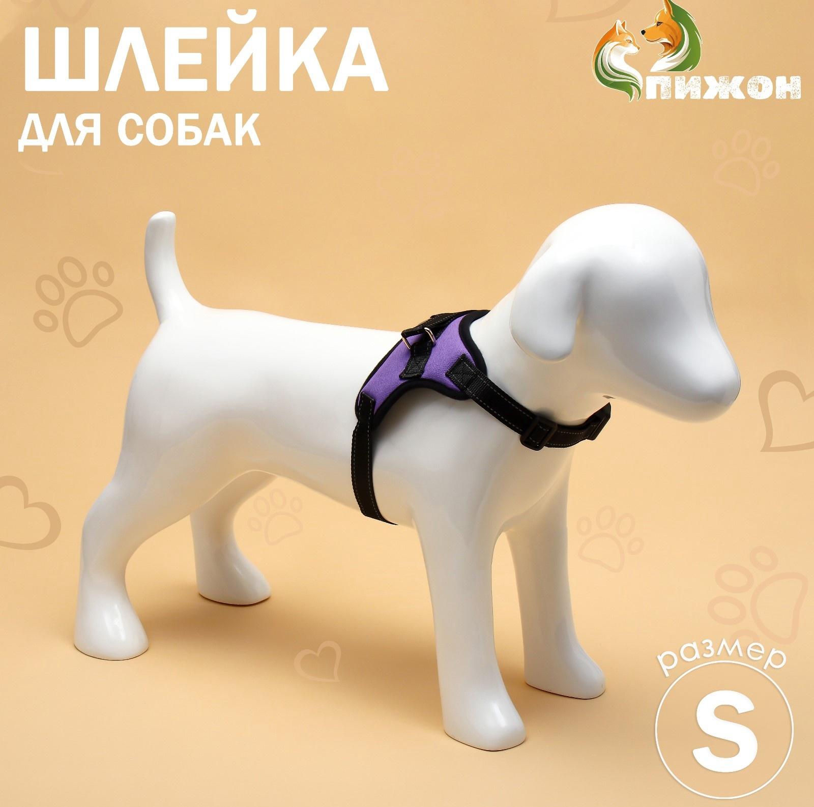 Шлейка К7 мягкая светоотражающая, размер S, ОГ 44-55 см, вес 5-9 кг, фиолетовая