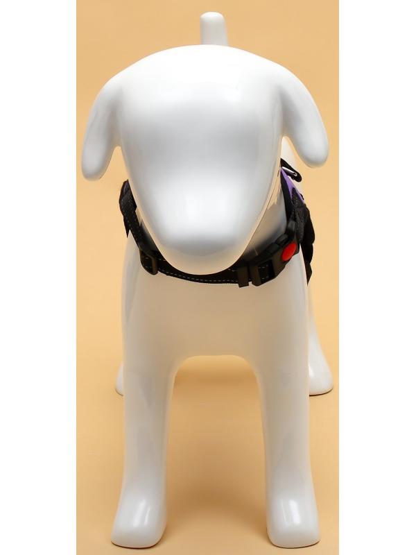 Шлейка К7 мягкая светоотражающая, размер S, ОГ 44-55 см, вес 5-9 кг, фиолетовая