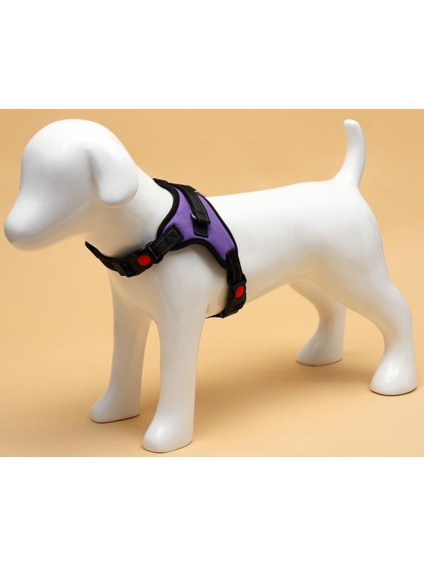 Шлейка К7 мягкая светоотражающая, размер S, ОГ 44-55 см, вес 5-9 кг, фиолетовая