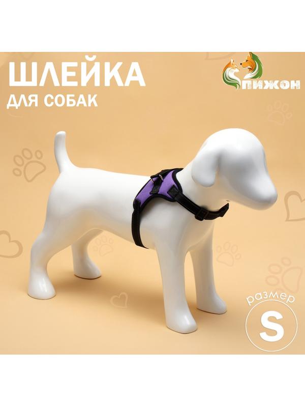 Шлейка К7 мягкая светоотражающая, размер S, ОГ 44-55 см, вес 5-9 кг, фиолетовая