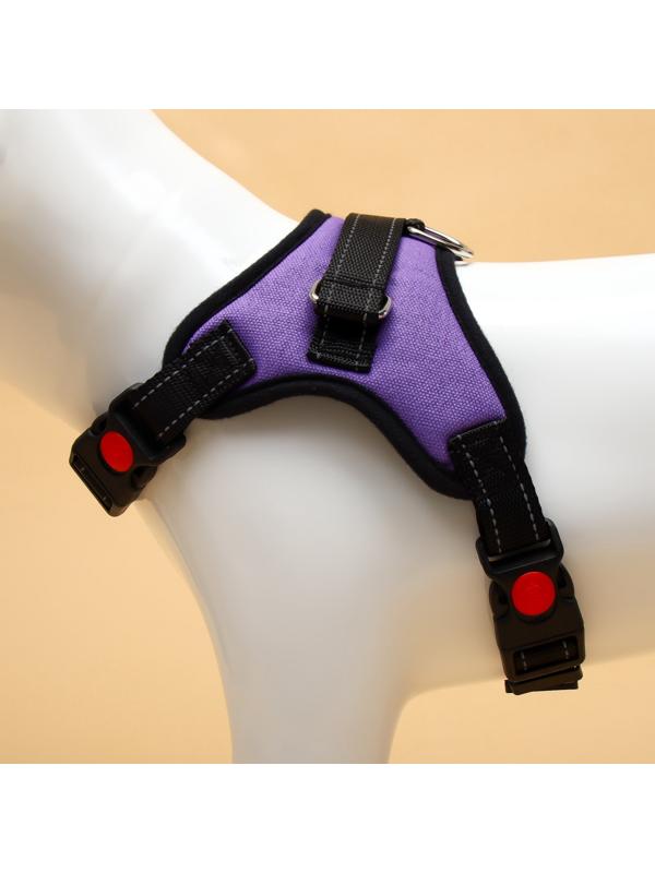 Шлейка К7 мягкая светоотражающая, размер S, ОГ 44-55 см, вес 5-9 кг, фиолетовая