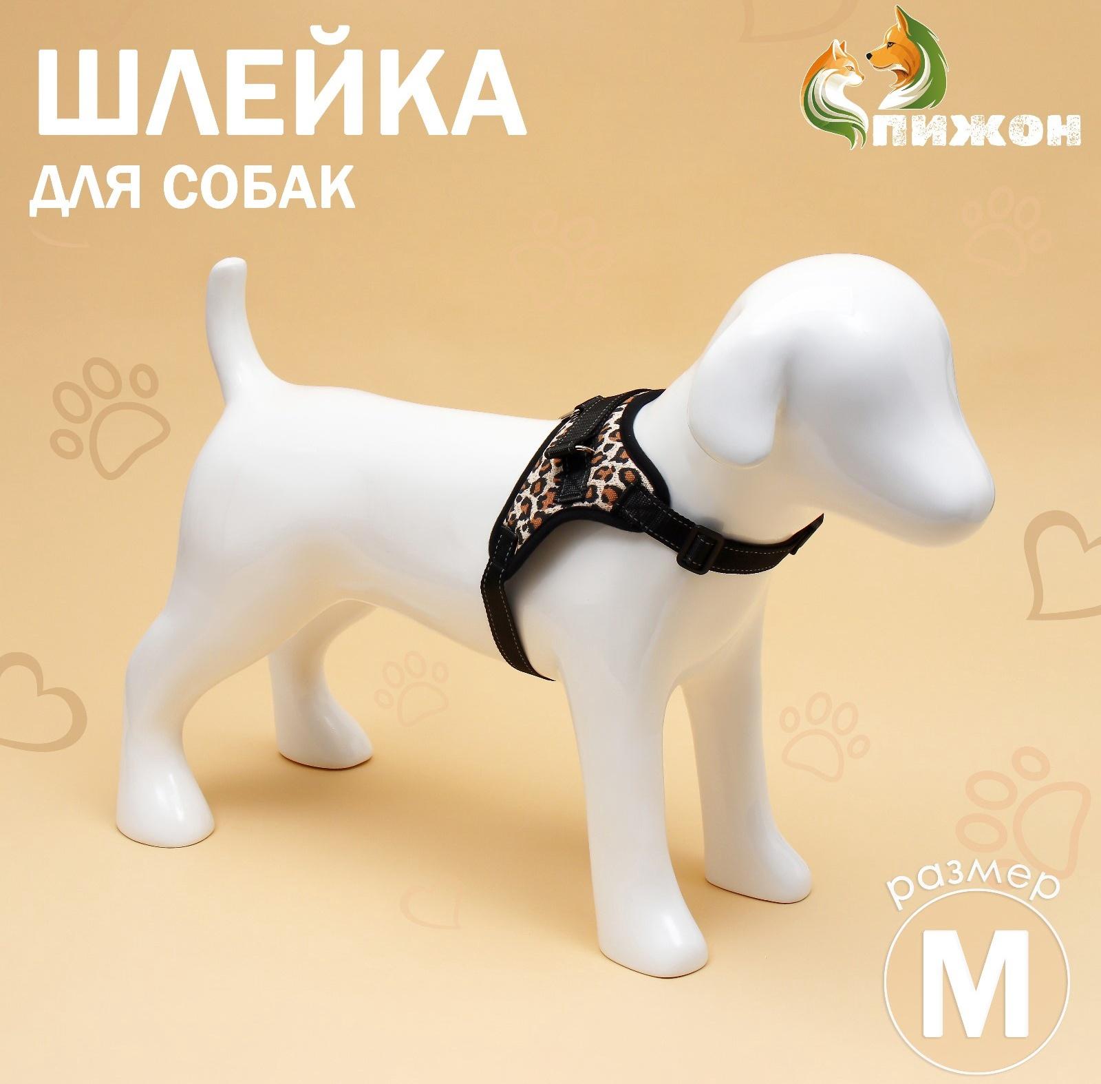 Шлейка К7 мягкая светоотражающая, размер М, ОГ 52-66 см, вес 9,5-17,5 кг, леопард