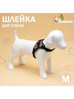 Шлейка К7 мягкая светоотражающая, размер М, ОГ 52-66 см, вес 9,5-17,5 кг, леопард
