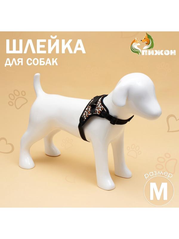 Шлейка К7 мягкая светоотражающая, размер М, ОГ 52-66 см, вес 9,5-17,5 кг, леопард