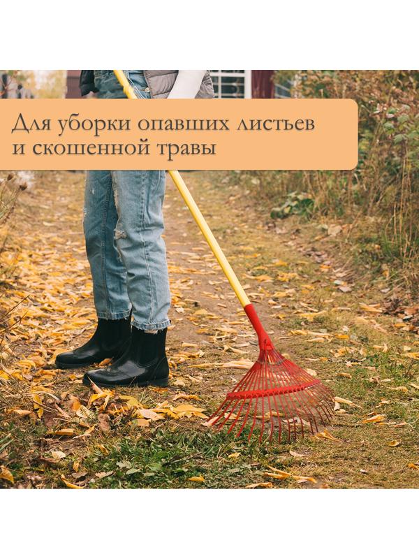 Грабли веерные, пластинчатые, 22 зубца, тулейка 30 мм, металлические, без черенка