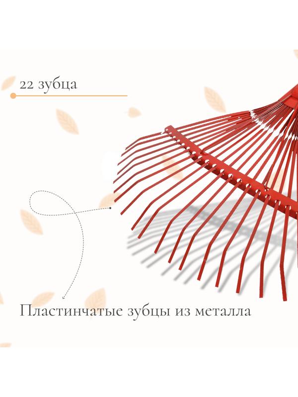 Грабли веерные, пластинчатые, 22 зубца, тулейка 30 мм, металлические, без черенка