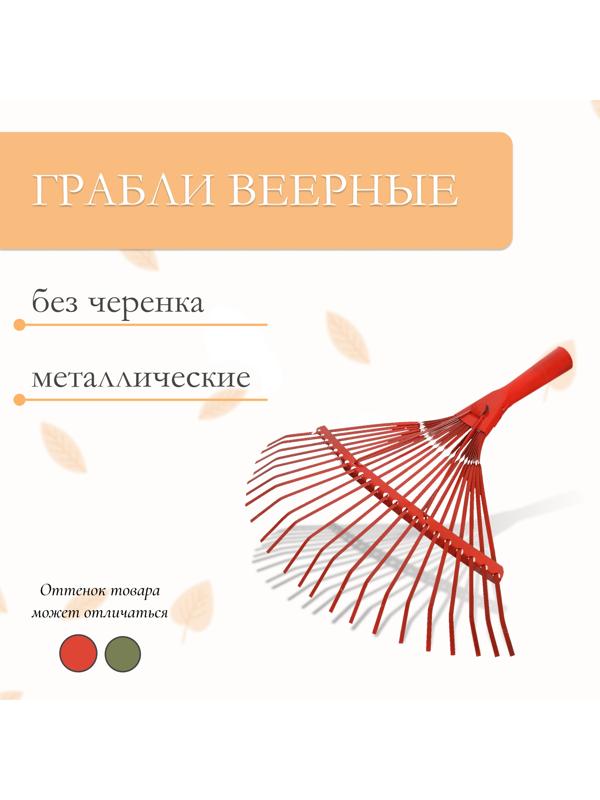 Грабли веерные, пластинчатые, 22 зубца, тулейка 30 мм, металлические, без черенка
