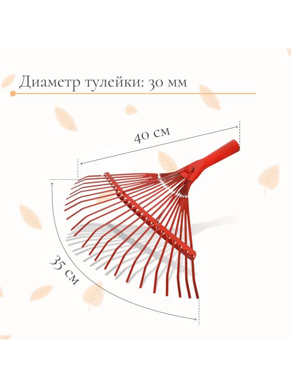 Грабли веерные, пластинчатые, 22 зубца, тулейка 30 мм, металлические, без черенка