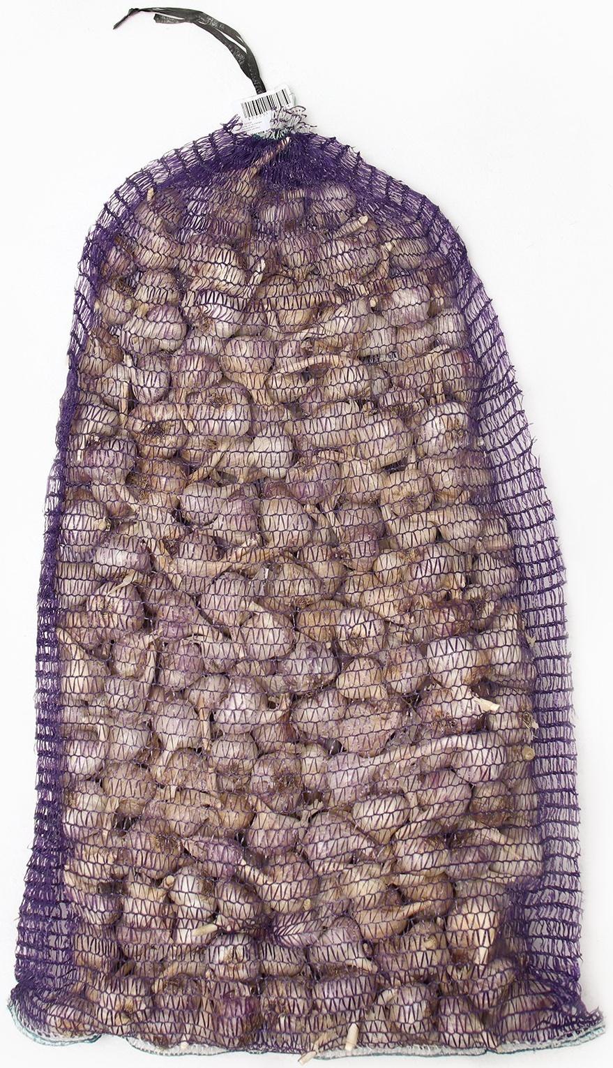 Чеснок озимый Добрыня 50+, сетка 10 кг