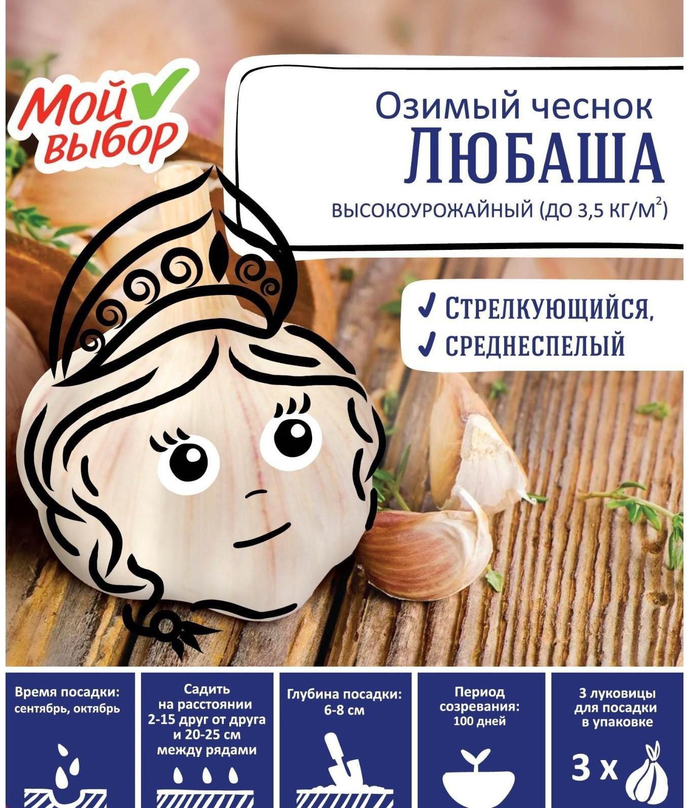 Чеснок озимый Любаша 30+, упаковка 3 шт