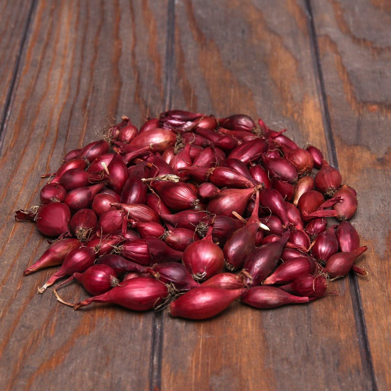 Лук севок Кармен , р-р 18-21, 5 кг, Весна 2025