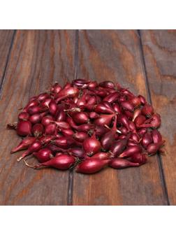 Лук севок Кармен , р-р 18-21, 5 кг, Весна 2025