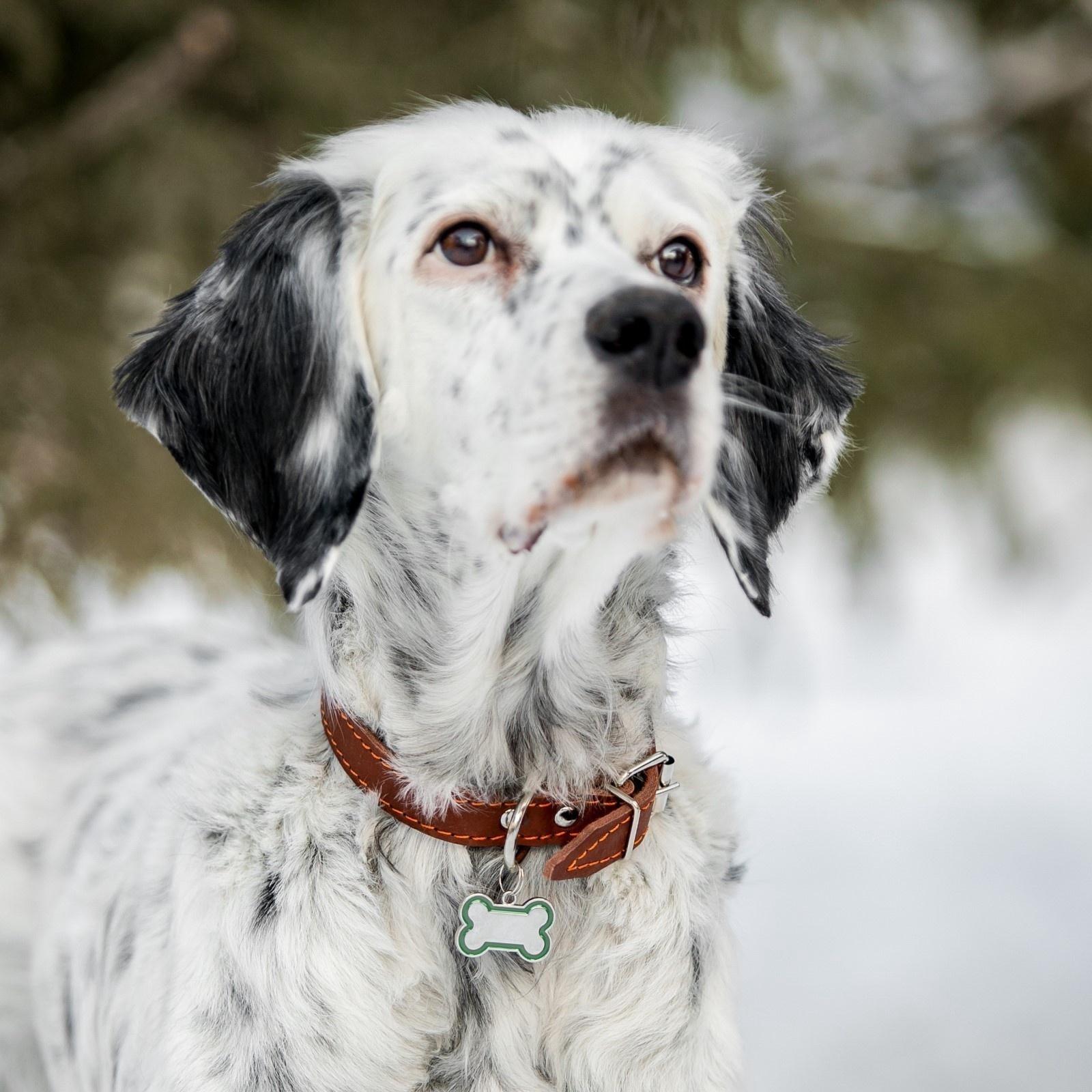 Адресник под гравировку 