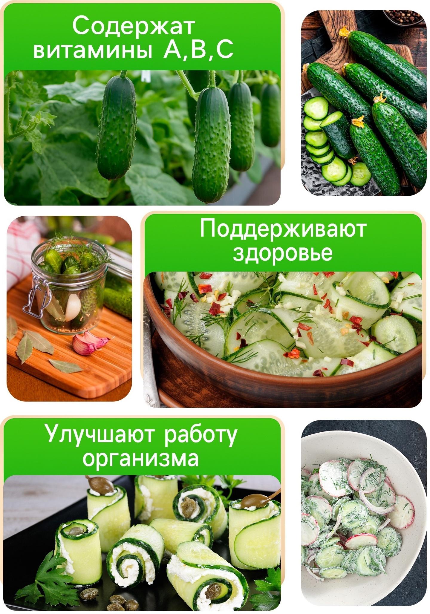 Семена огурец 