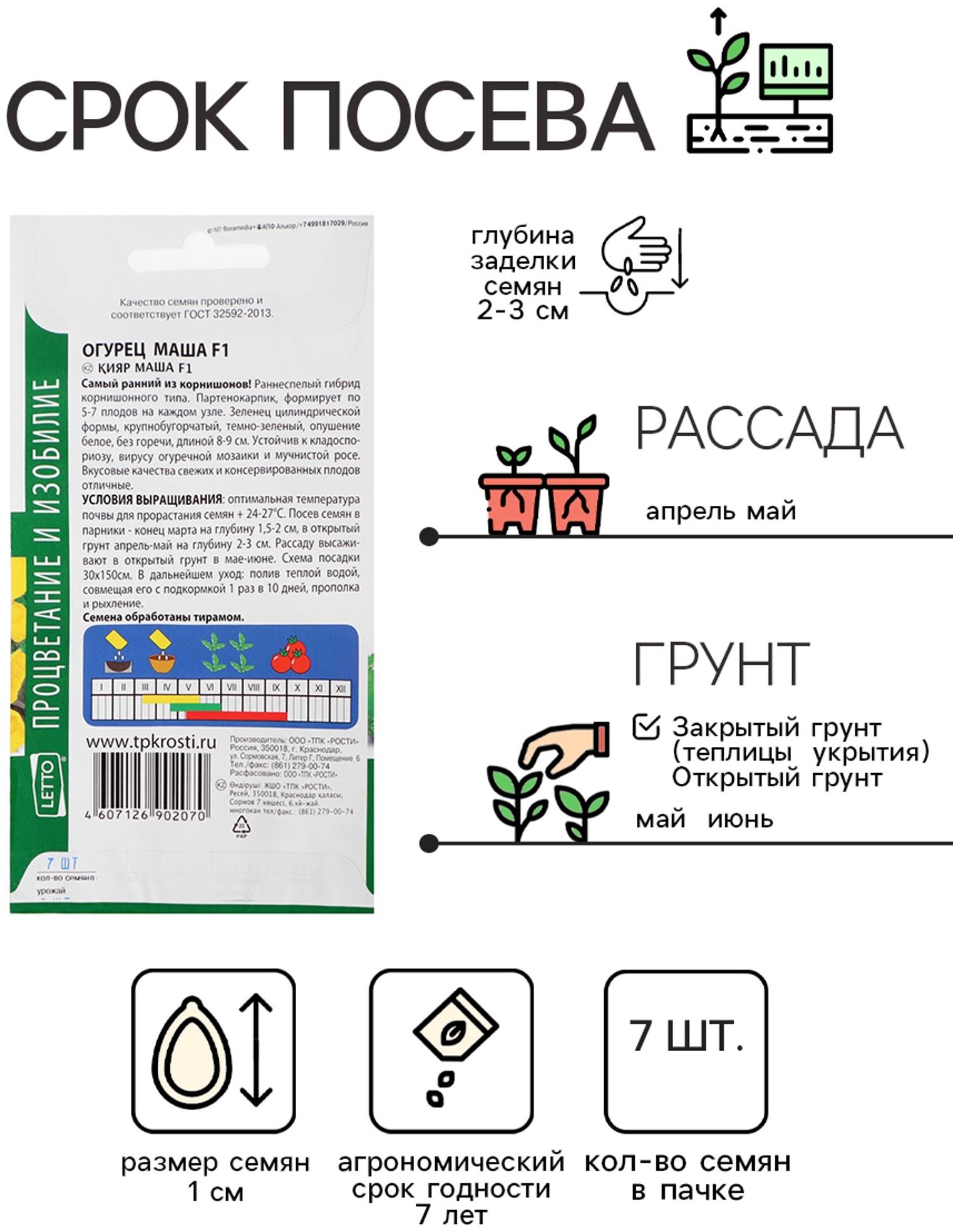 Семена огурец 